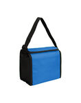 Cooler Bag