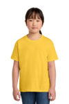 Youth Softstyle ® T Shirt