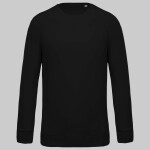 Men's organic cotton crew neck raglan sleeve sweatshirt